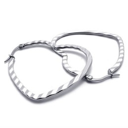 Heart Titanium Earrings