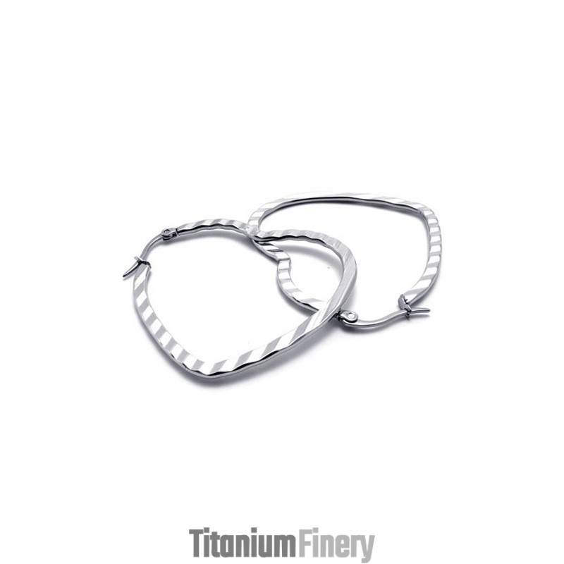 Heart Titanium Earrings Heart Titanium Earrings