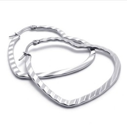 Heart Titanium Earrings