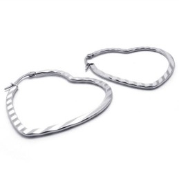 Heart Titanium Earrings