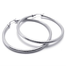 Ring Titanium Earrings