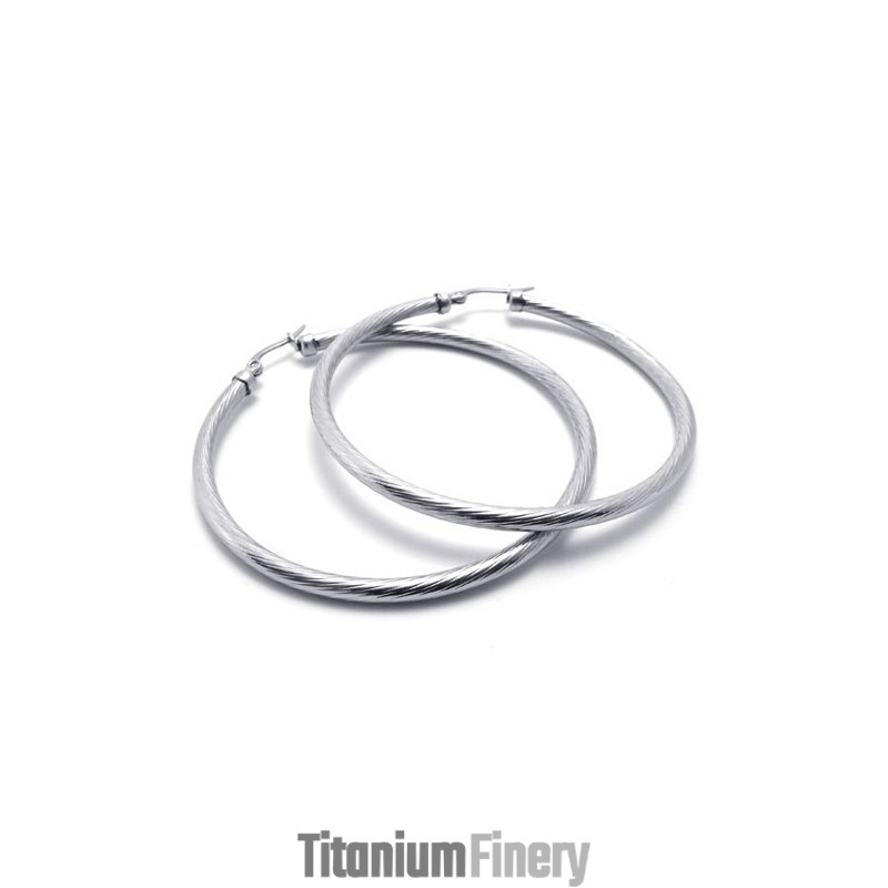 Ring Titanium Earrings