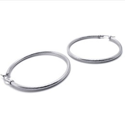Ring Titanium Earrings