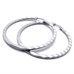 Ring Titanium Earrings