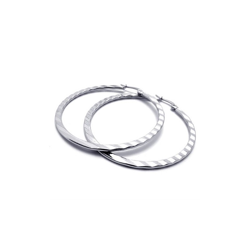 Ring Titanium Earrings