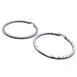 Ring Titanium Earrings