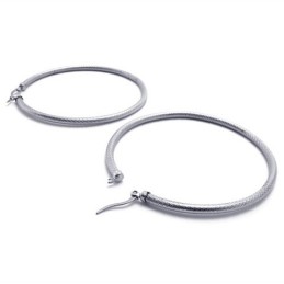 Ring Titanium Earrings