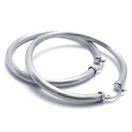 Ring Titanium Earrings