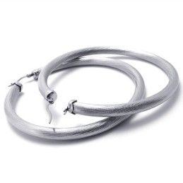 Ring Titanium Earrings