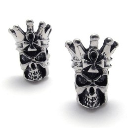 Skull Titanium Earrings