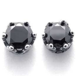 Diamond Titanium Earrings