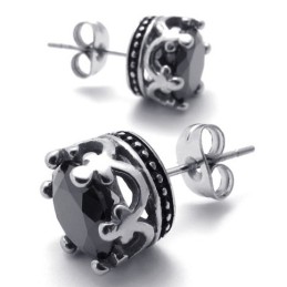 Diamond Titanium Earrings