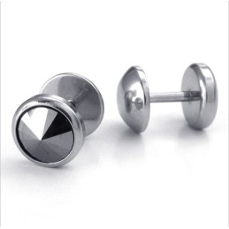 Deft Design Color Brilliancy Excellent Quality Titanium Earrings