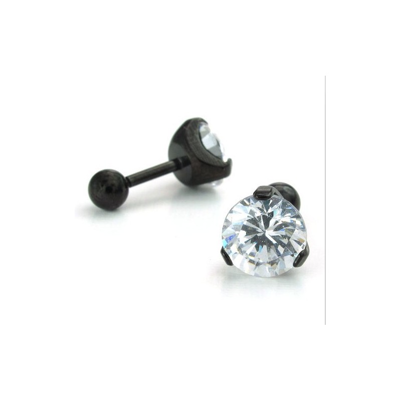 Sophisticated Technology Color Brilliancy Stable Quality Titanium Earrings