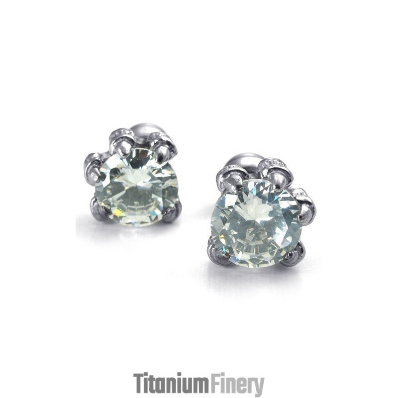 Latest Technology Color Brilliancy High Quality Titanium Earrings Latest Technology Color Brilliancy High Quality Titanium Earrings