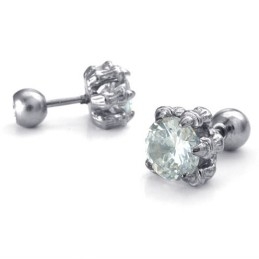 Latest Technology Color Brilliancy High Quality Titanium Earrings