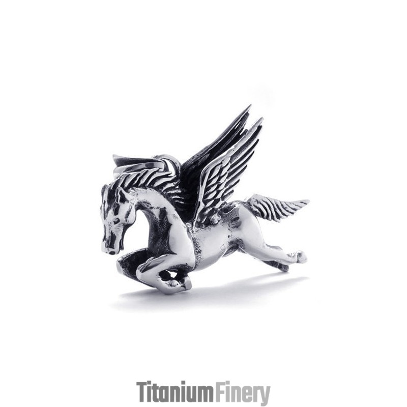 Attractive Design Color Brilliancy Superior Quality Titanium Pendant Attractive Design Color Brilliancy Superior Quality Titanium Pendant
