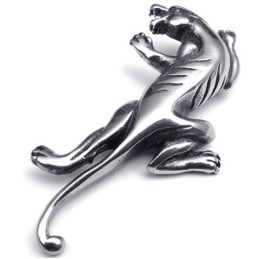 Sophisticated Technology Color Brilliancy Durable In Use Titanium Pendant