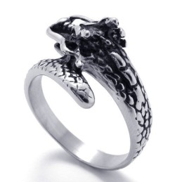 Modern Design Delicate Colors Stable Quality Titanium Ring