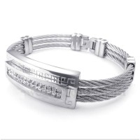 Titanium Bangles